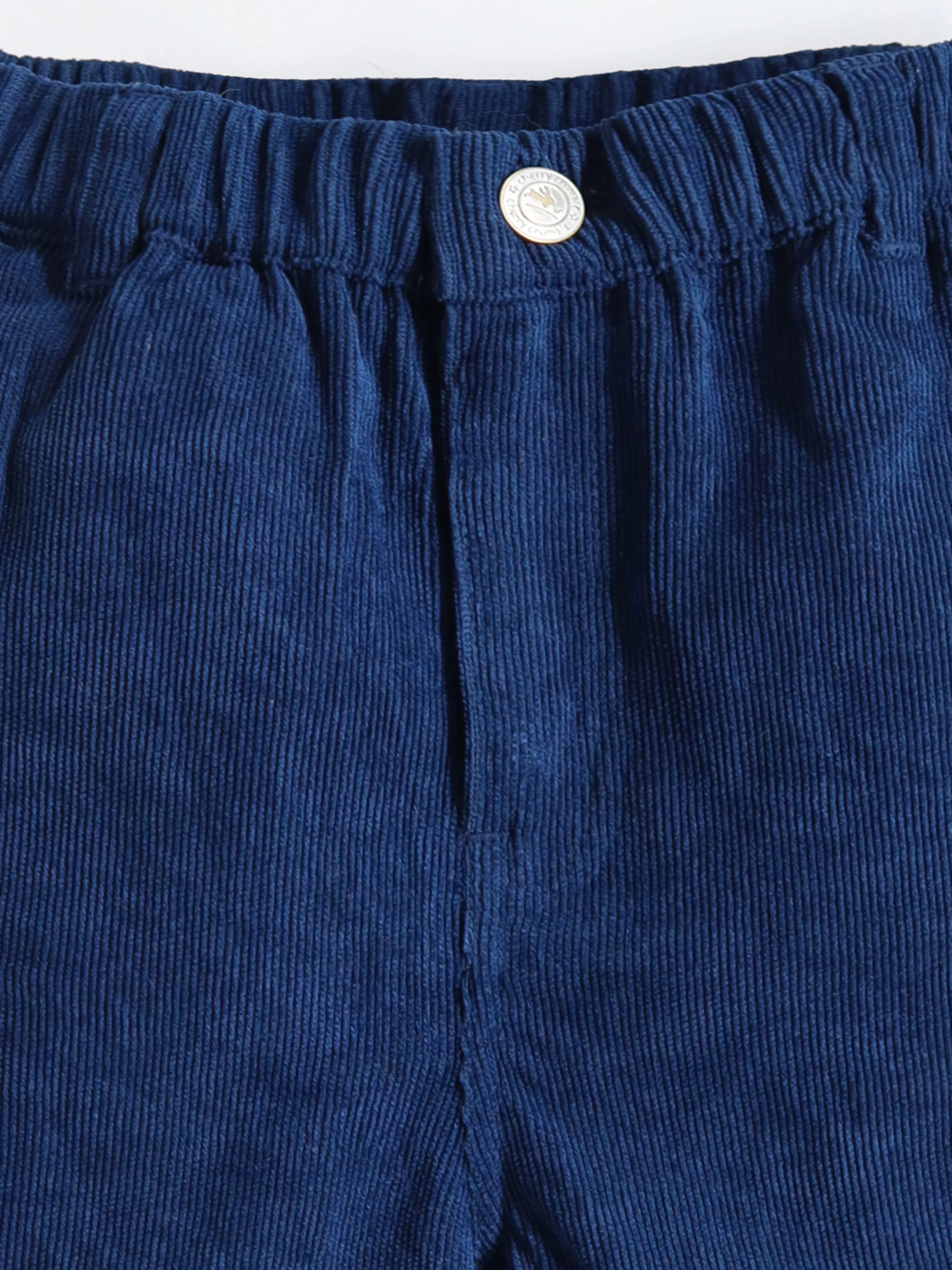 Cherry Crumble Boys Polyester Blue Self Texture Shorts